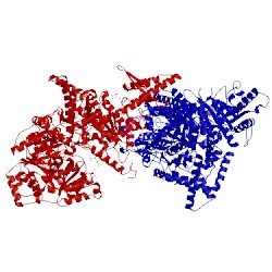 Image of CATH 5cjv