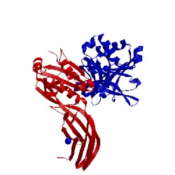 Image of CATH 5cl2