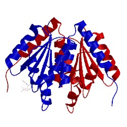 Image of CATH 5cli