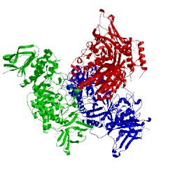 Image of CATH 5clt