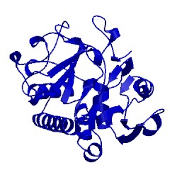 Image of CATH 5cmi