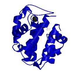 Image of CATH 5cmt