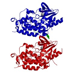 Image of CATH 5cno