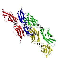 Image of CATH 5co1