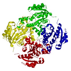 Image of CATH 5coq