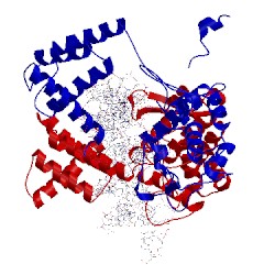 Image of CATH 5crx