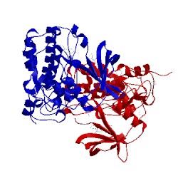 Image of CATH 5csh