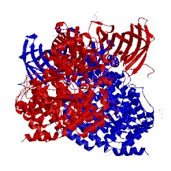 Image of CATH 5cu5