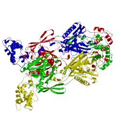 Image of CATH 5cuy