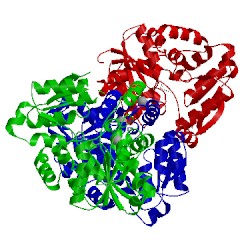 Image of CATH 5cvc