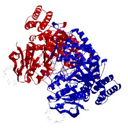 Image of CATH 5cvs