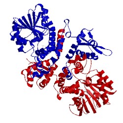 Image of CATH 5cvv