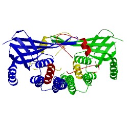 Image of CATH 5cw5