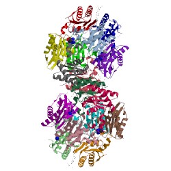 Image of CATH 5cx7