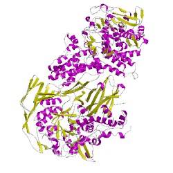 Image of CATH 5d06B