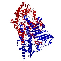 Image of CATH 5db5