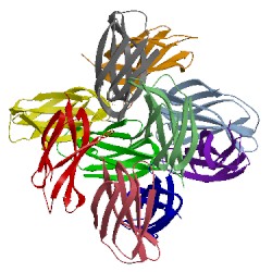 Image of CATH 5dft