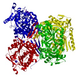 Image of CATH 5dib