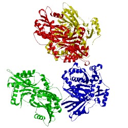 Image of CATH 5dlk