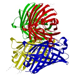 Image of CATH 5dpj