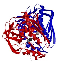 Image of CATH 5drp