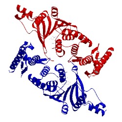 Image of CATH 5drt