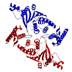 Image of CATH 5dsx