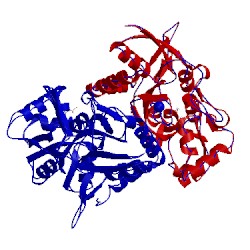 Image of CATH 5dtb