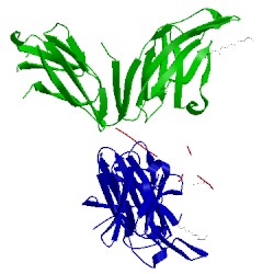 Image of CATH 5dtf