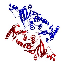 Image of CATH 5dtr