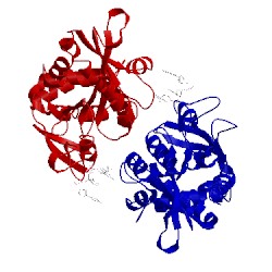 Image of CATH 5dwa