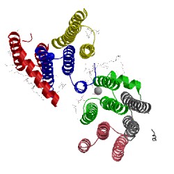 Image of CATH 5dwk