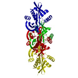 Image of CATH 5dwm