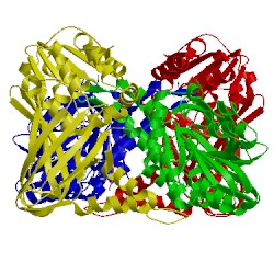 Image of CATH 5dx1