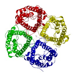 Image of CATH 5dye