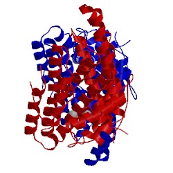 Image of CATH 5dz2