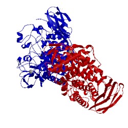 Image of CATH 5e2j