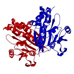 Image of CATH 5e9j