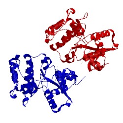 Image of CATH 5eak