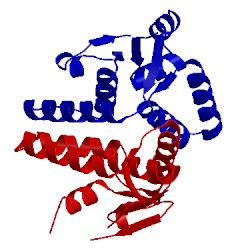 Image of CATH 5ecw
