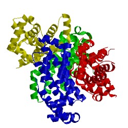 Image of CATH 5efy