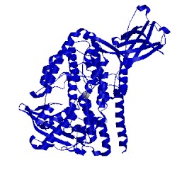 Image of CATH 5ek8