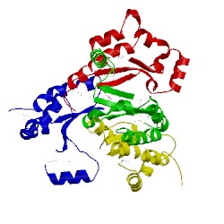 Image of CATH 5el3