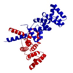 Image of CATH 5en8