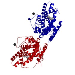 Image of CATH 5erm