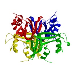 Image of CATH 5et4