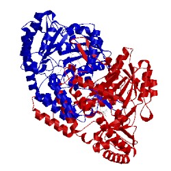 Image of CATH 5eue