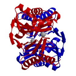 Image of CATH 5ew0