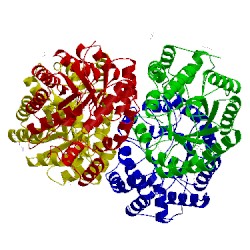 Image of CATH 5f1v