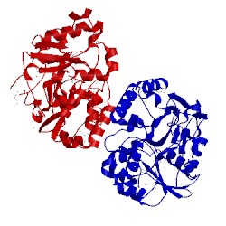 Image of CATH 5f1y